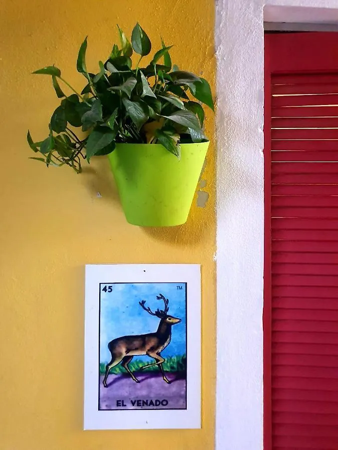 La Casona Hotel Tulum Auberge de jeunesse